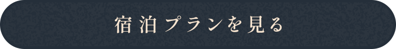 宿泊プランを見る