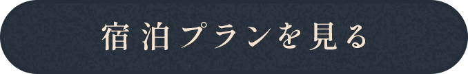 宿泊プランを見る