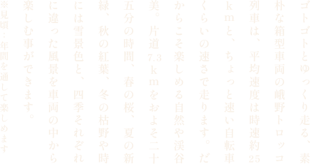 嵯峨野トロッコ列車からの渓谷美