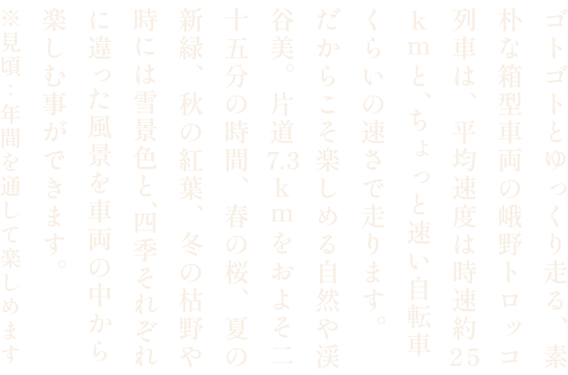 嵯峨野トロッコ列車からの渓谷美
