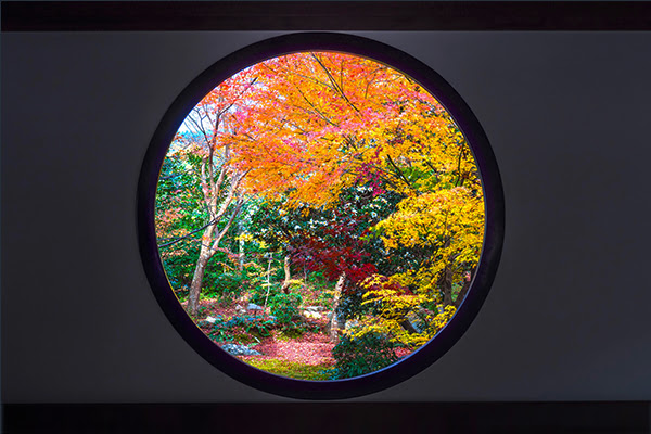 源光庵の紅葉窓