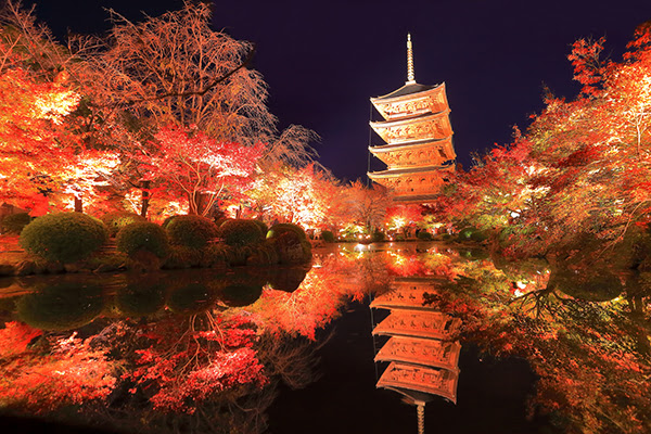 東寺の紅葉