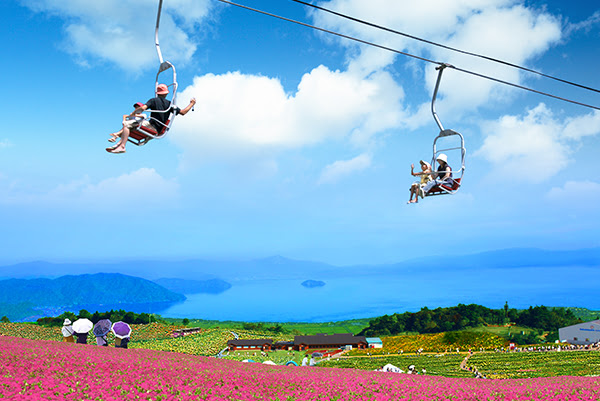 箱館山山頂のペチュニアの向こうに見える琵琶湖