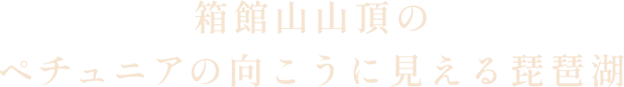 箱館山山頂のペチュニアの向こうに見える琵琶湖