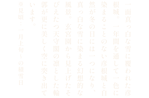 彦根城 玄宮園の雪景色