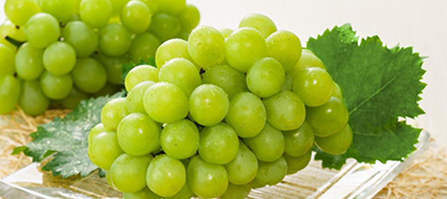 マスカット・オブ・アレキサンドリア