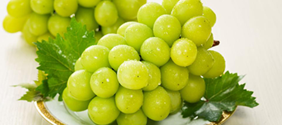 シャインマスカット