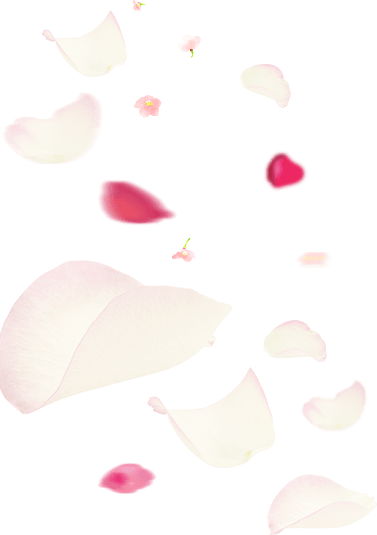 湯ったり 花街道