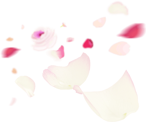 湯ったり 花街道