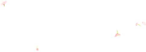 湯ったり 花街道