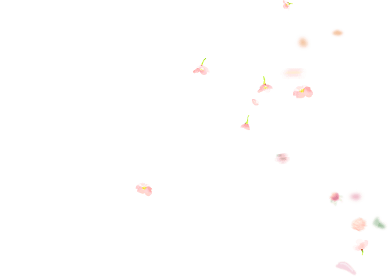 湯ったり 花街道