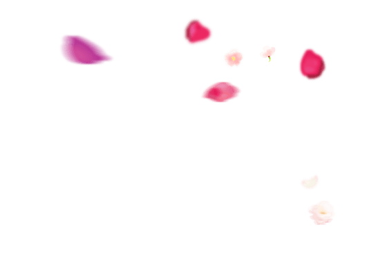 湯ったり 花街道