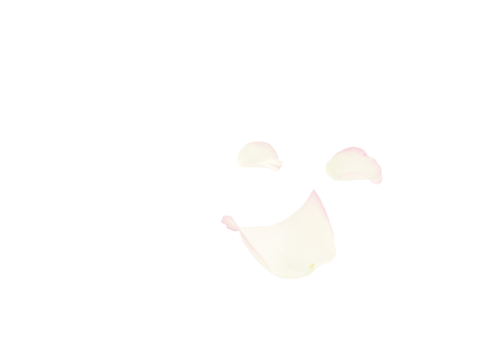 湯ったり 花街道