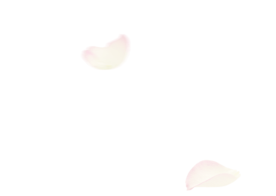 湯ったり 花街道