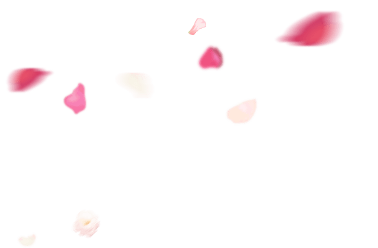 湯ったり 花街道