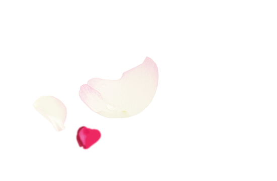 湯ったり 花街道