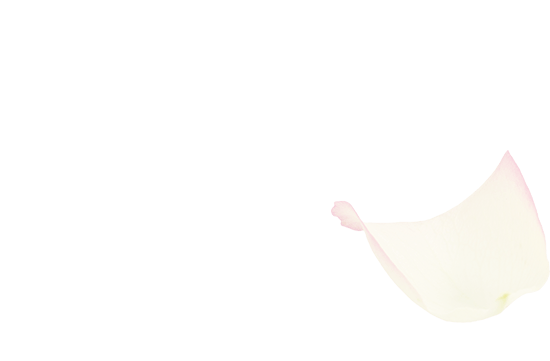 湯ったり 花街道