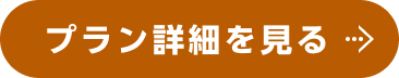 プラン詳細を見る